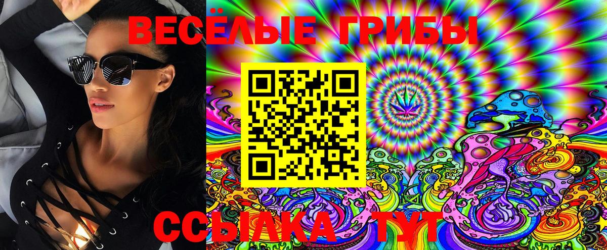 Галлюциногенные грибы MAGIC MUSHROOMS Большой Камень